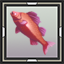 Red Snapper