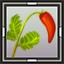 Tomato Seedling