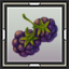 Mulberries