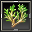 Spikegrass