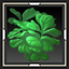 Painclover
