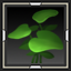 Dew Fern