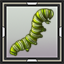 Nudibranch