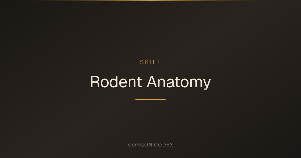Project Gorgon Rodent Anatomy — Leveling Guide | Project Gorgon
